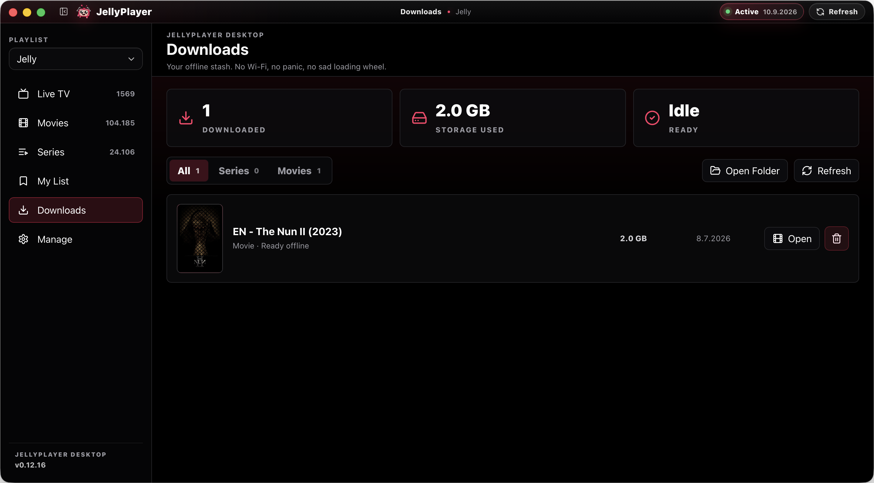 JellyPlayer desktop downloads screen showing offline items and storage counters