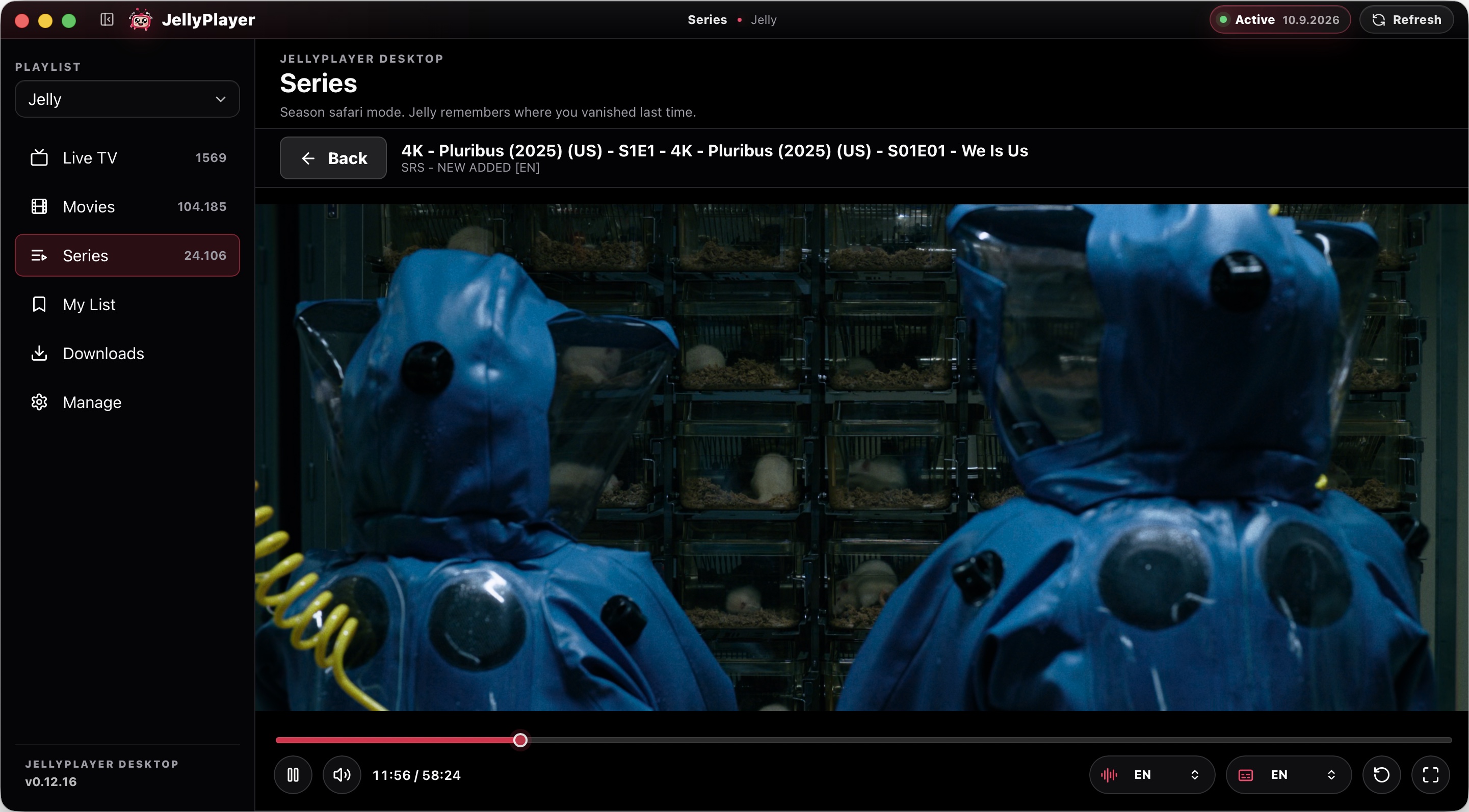 JellyPlayer desktop native video player with subtitle and audio controls